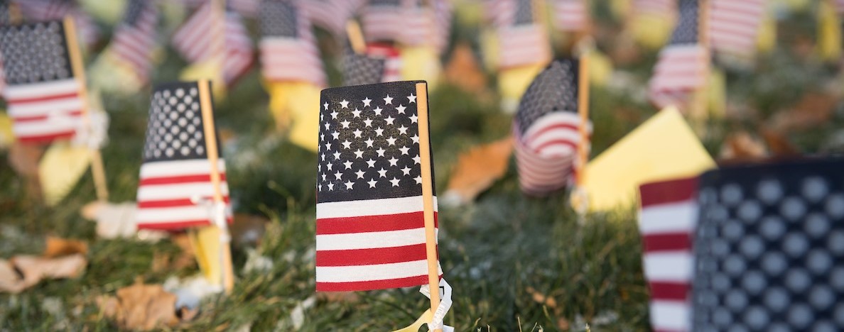 Veterans Flag Day Display