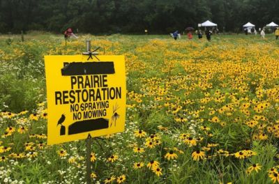 Ashton Prairie Living Laboratory