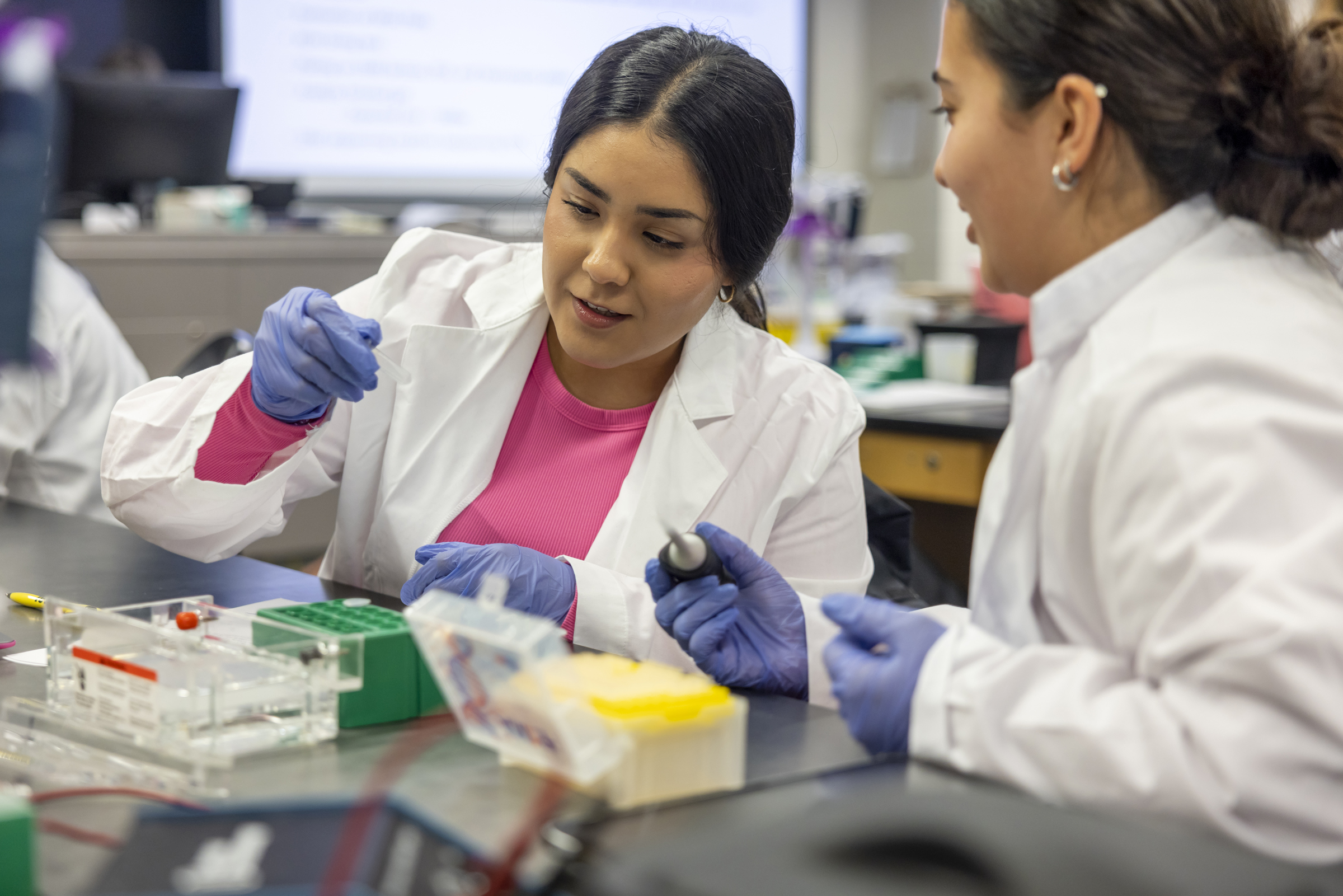 An image of two biology researchers engaged in their labwork