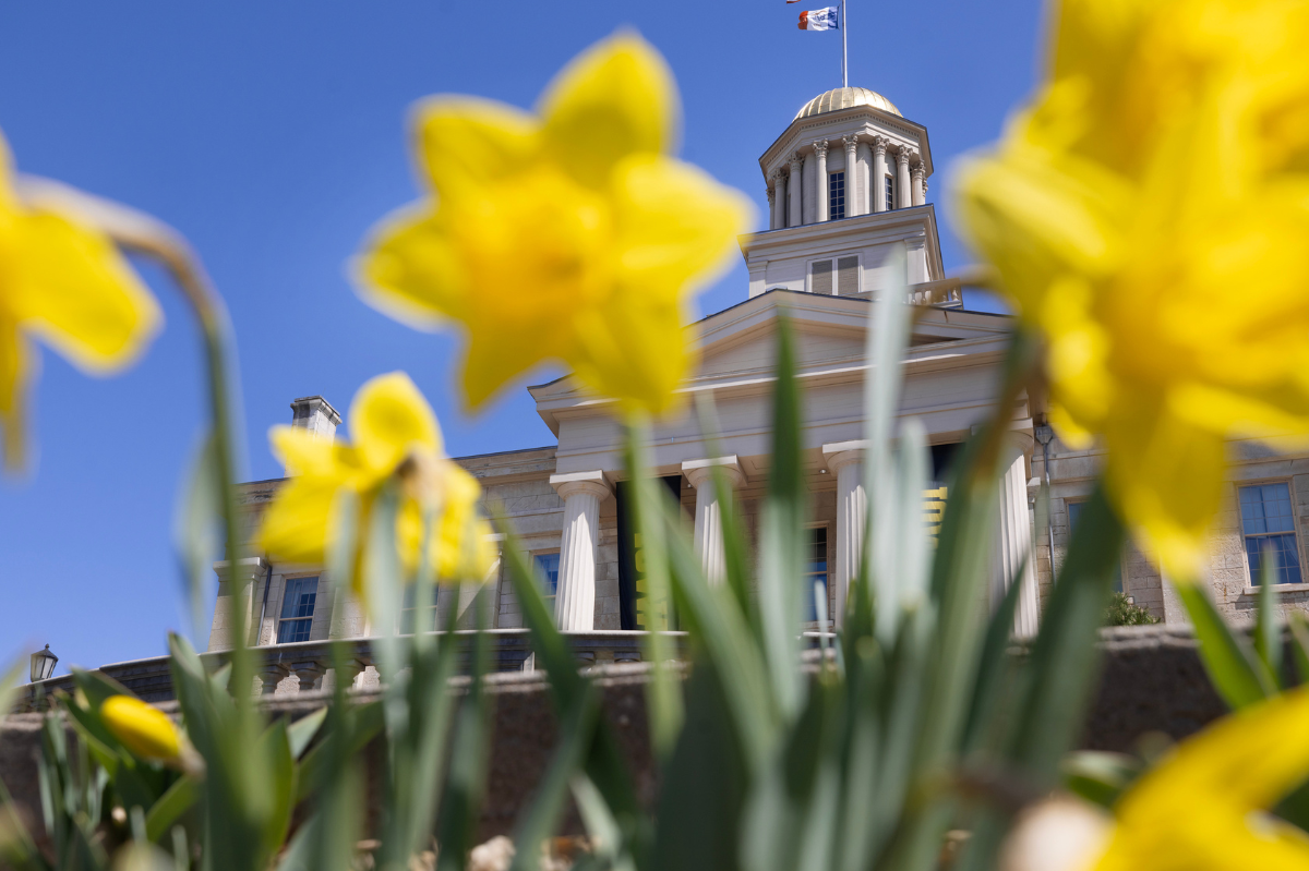 Image: Old Capital building with gold dome; yellow flowers in foreground
