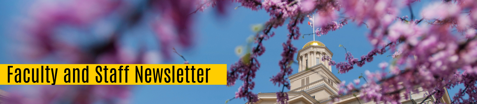 blossoms on tree branches with Old Capitol in the background