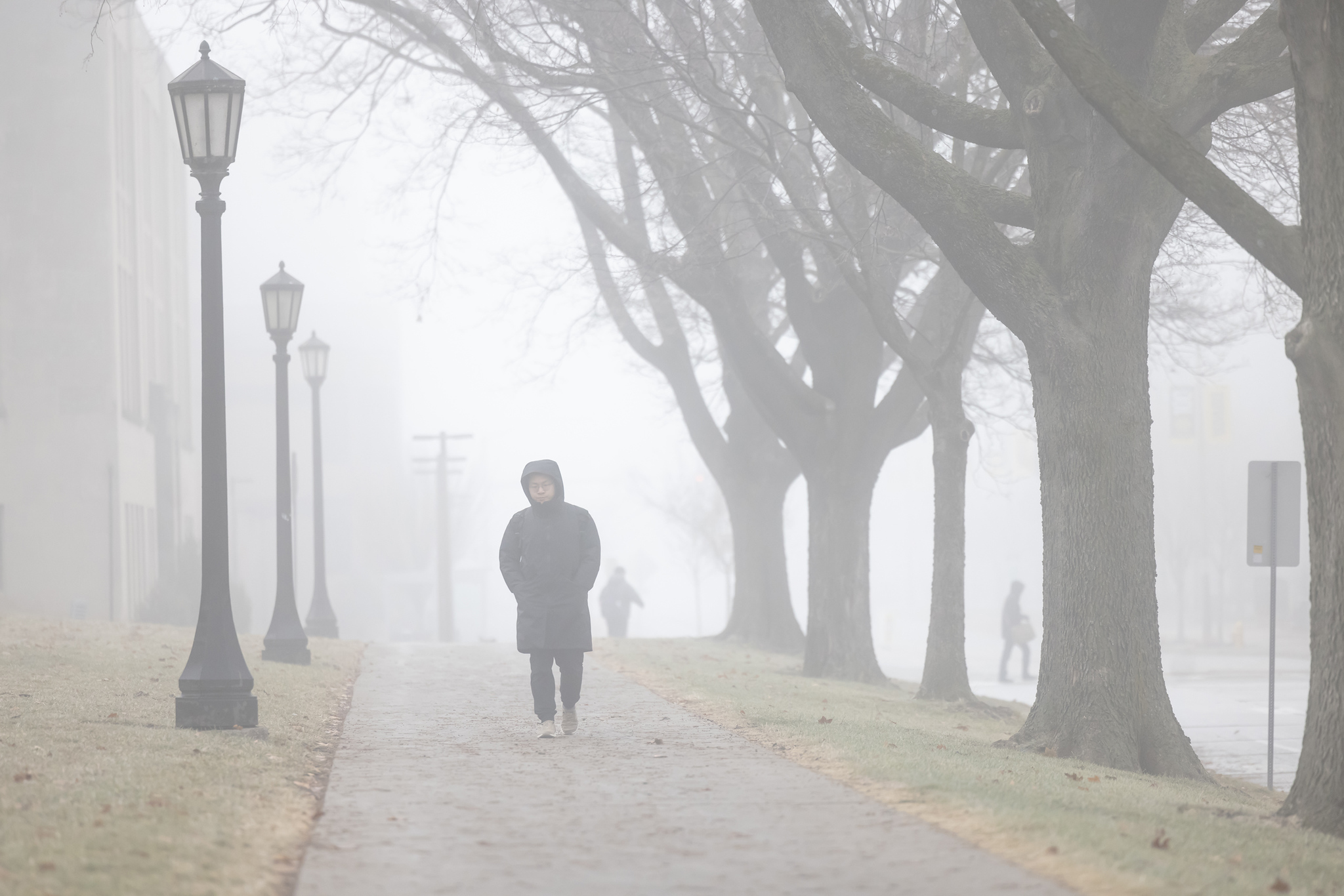 A student walks along a foggy tree-lined sidewalk during an Iowa winter