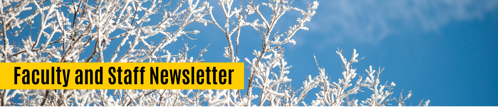 snowy white branches on a backdrop of clear blue sky with black text and a gold box reading 