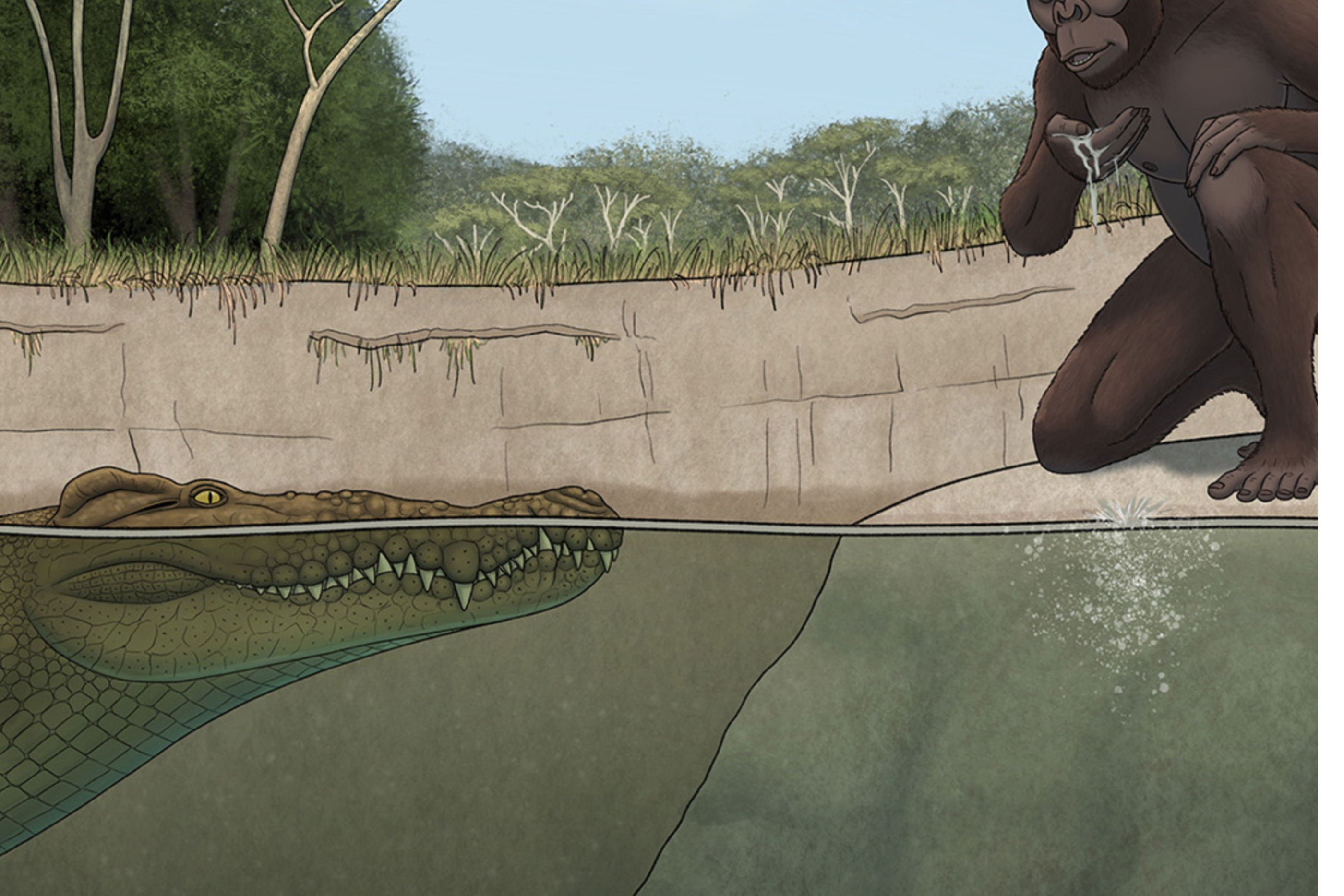 a primate drinks at the edge of the water while a crocodile lurks underneath