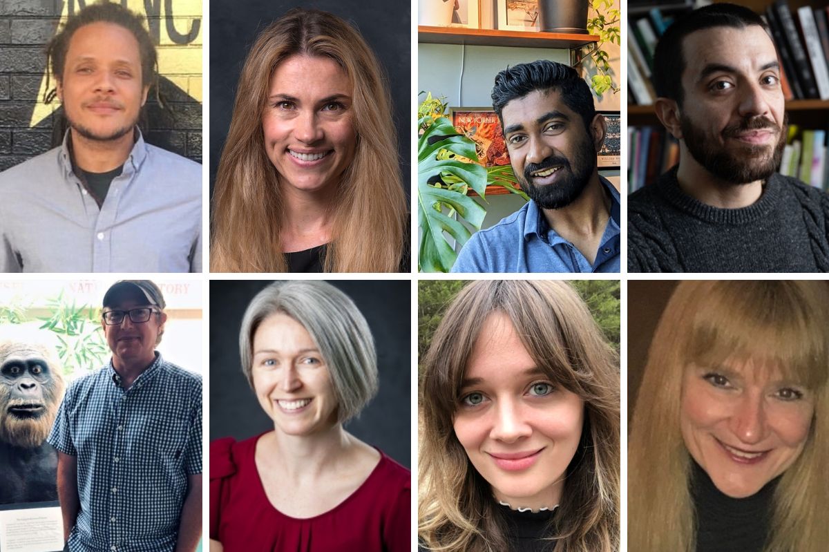 Image: A compilation of faculty portraits