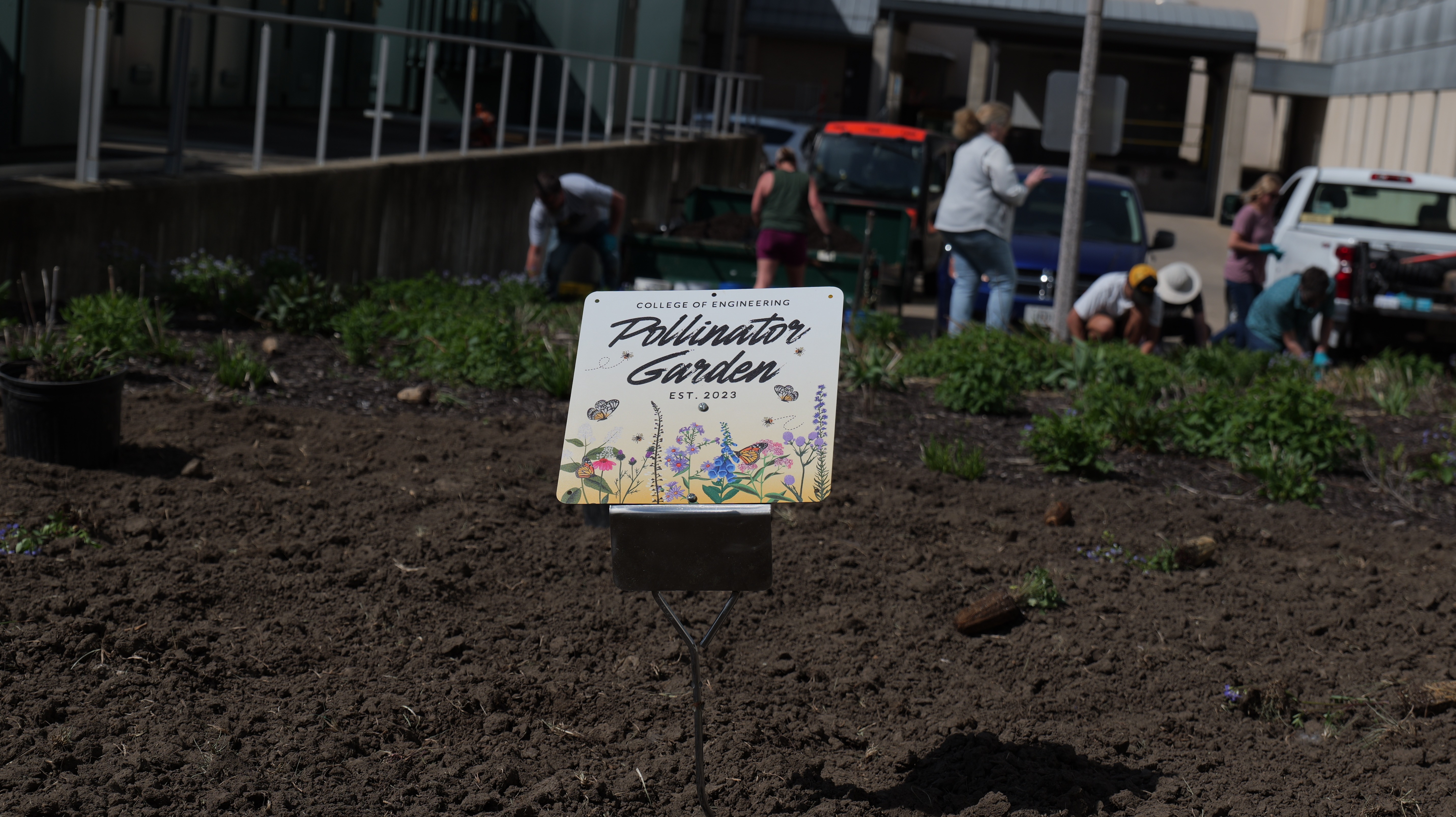 Metal sign with white background is staked into dirt patch with people digging in the background. The sign states "Pollinator Garden, est. 2023"