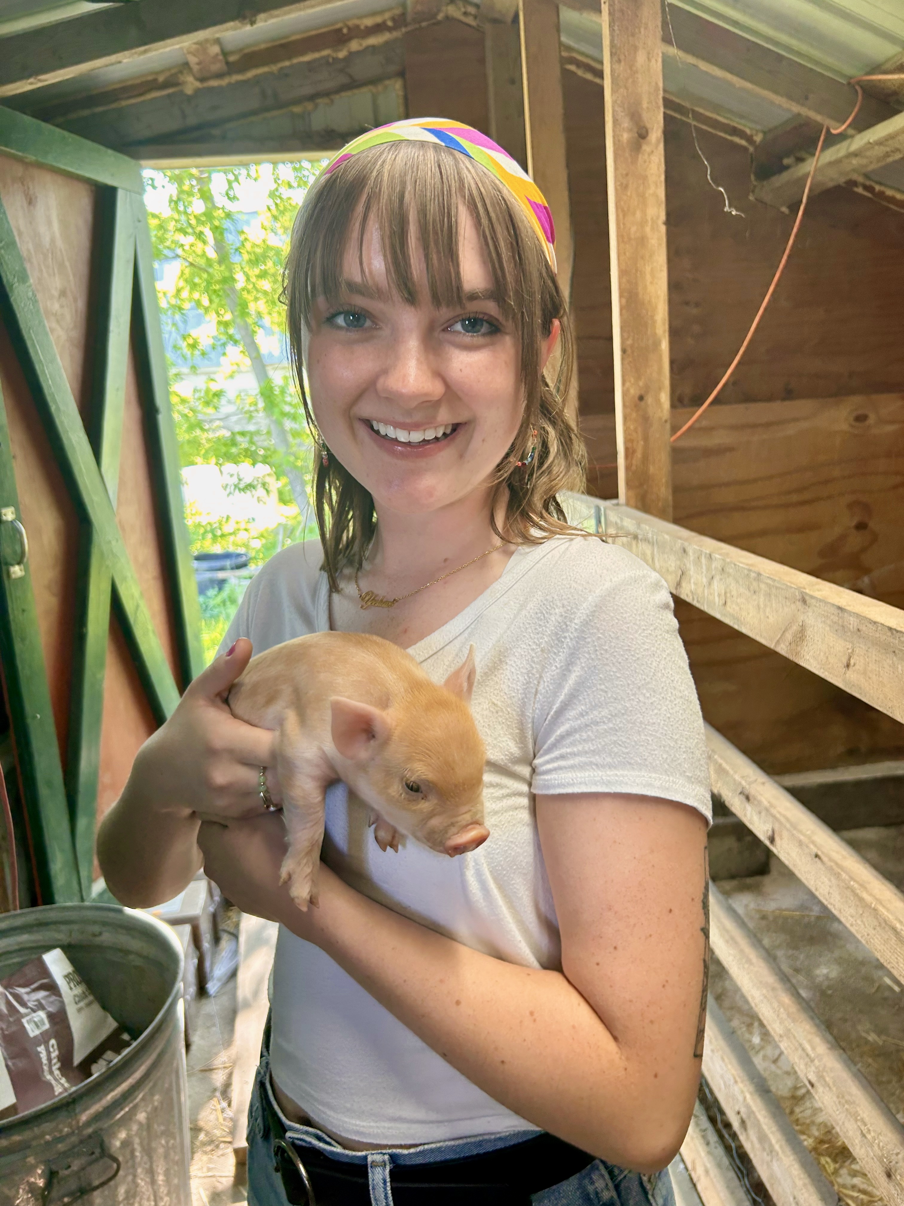 Young woman holding a tiny piglet