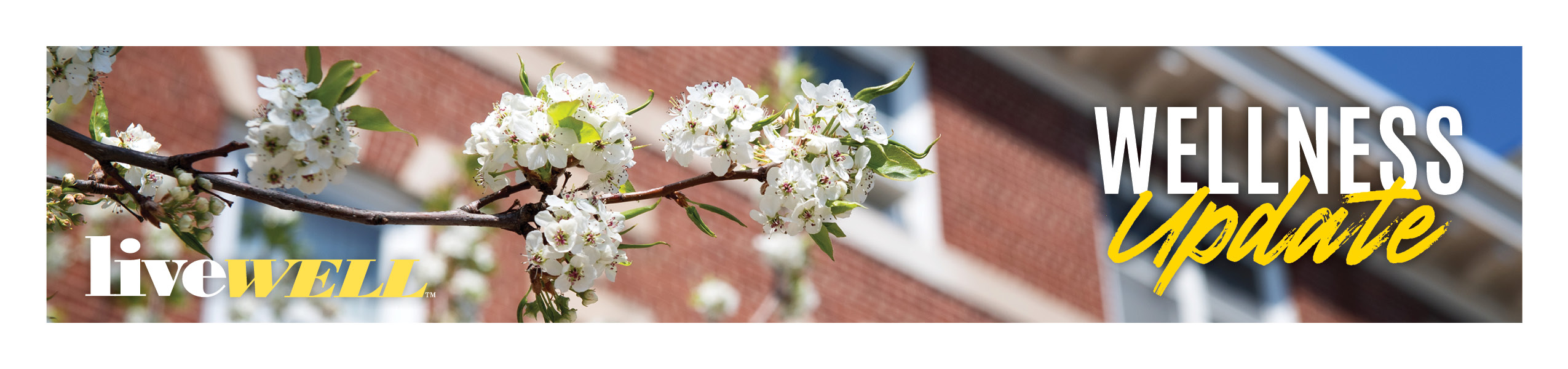 liveWELL Banner Image
