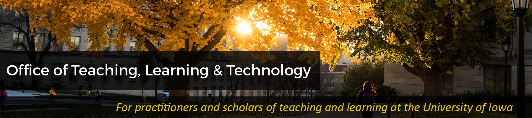 Office of Teaching, Learning and Technology