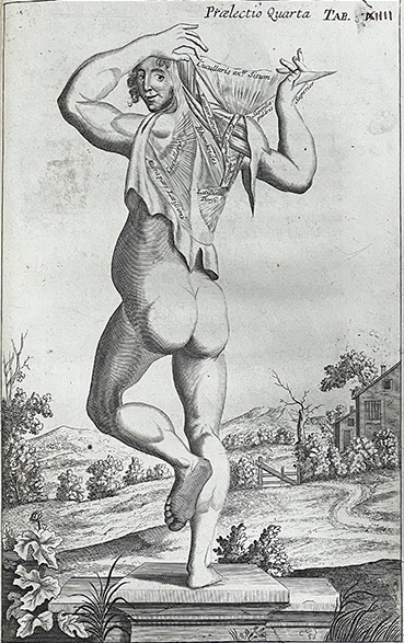 Black and white illustration of a human figure facing away from the viewer, holding up a muscle from their back, from Browne's Mygraphia nova, 1697.