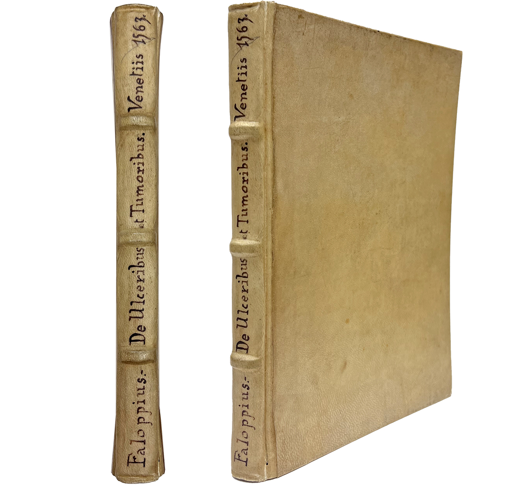 Color photo of the limp vellum cover and titled spine from Fallopius's Libelli duo, alter de ulceribus: alter de tumoribus praeter naturam, 1563.