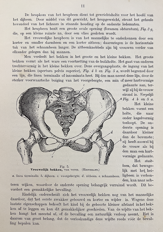 Color photo of a black and white printed page from Jacobs' De Vrouw, 1900, showing an illustration of bones from the pelvis.