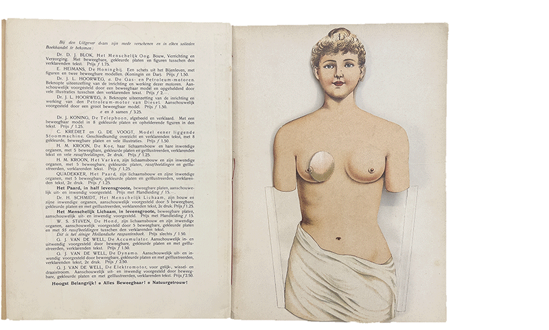 Color animated gif showing the layers of anatomy for a female torso in two flaps that are illustrated on each side, from Jacobs' De Vrouw, 1900.