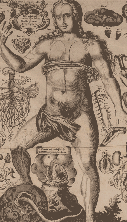 anatomical flap book is animated