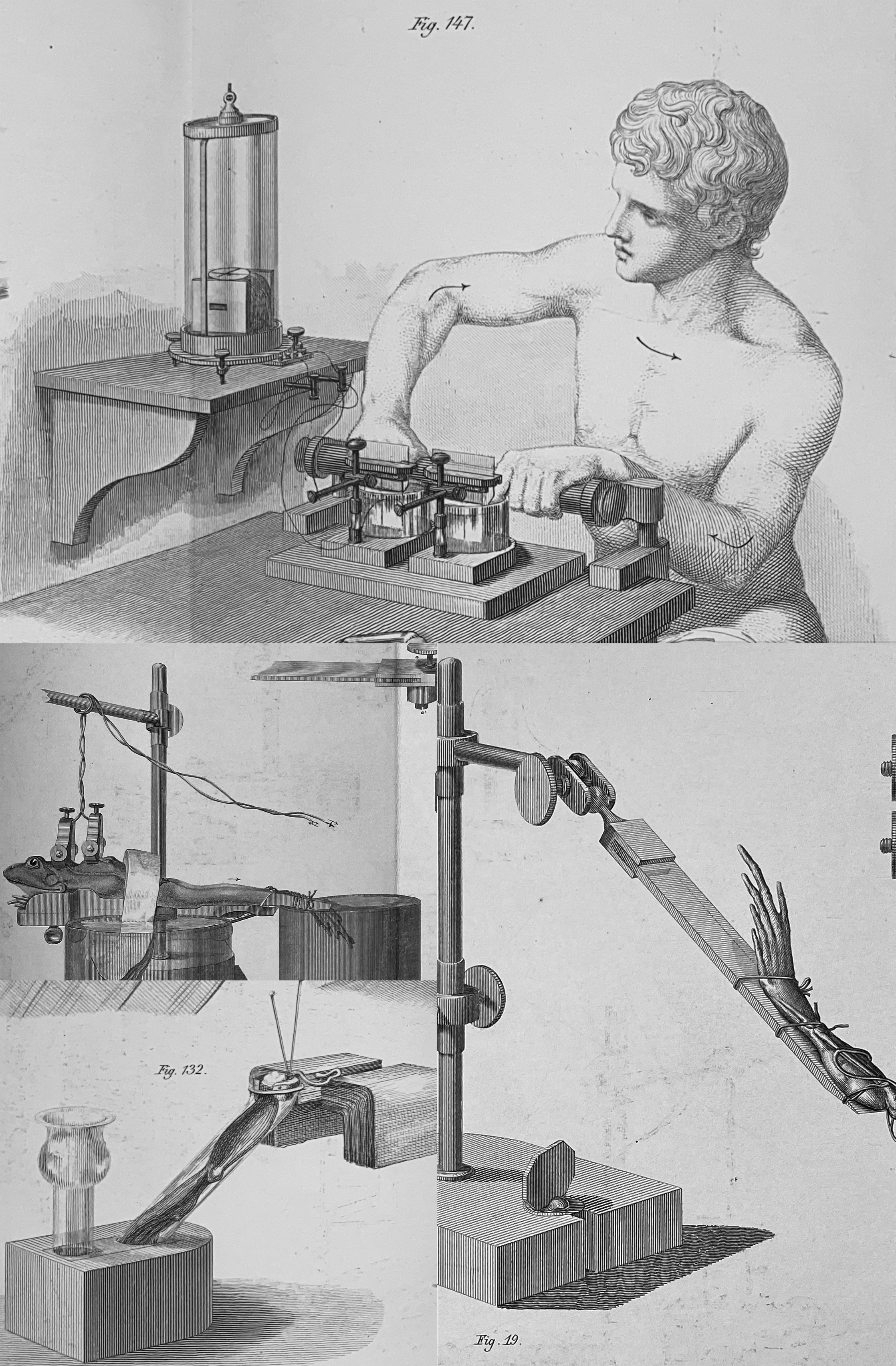 Composite image of selected illustrations of electrophysiology experiments with frogs from Volumes I and II (part 1 and part 2) of Emil Heinrich Dubois-Reymond's Untersuchungen &uuml;ber thierische Elektricit&auml;t.