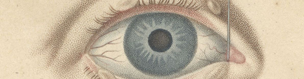 Illustration from Traité des maladies des yeux : avec des planches coloriées représentant ces maladies d’après nature, suivi de la description de l’œil humain, 1818, close up of a human eye