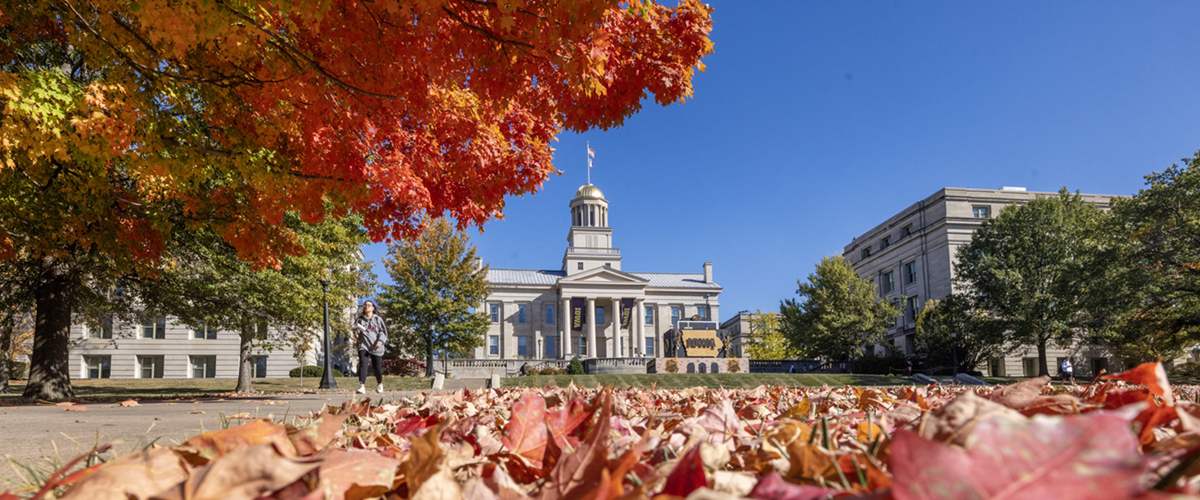 Student walking in front of fallen leaves 