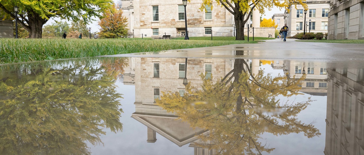 Puddle on the sidewalk 