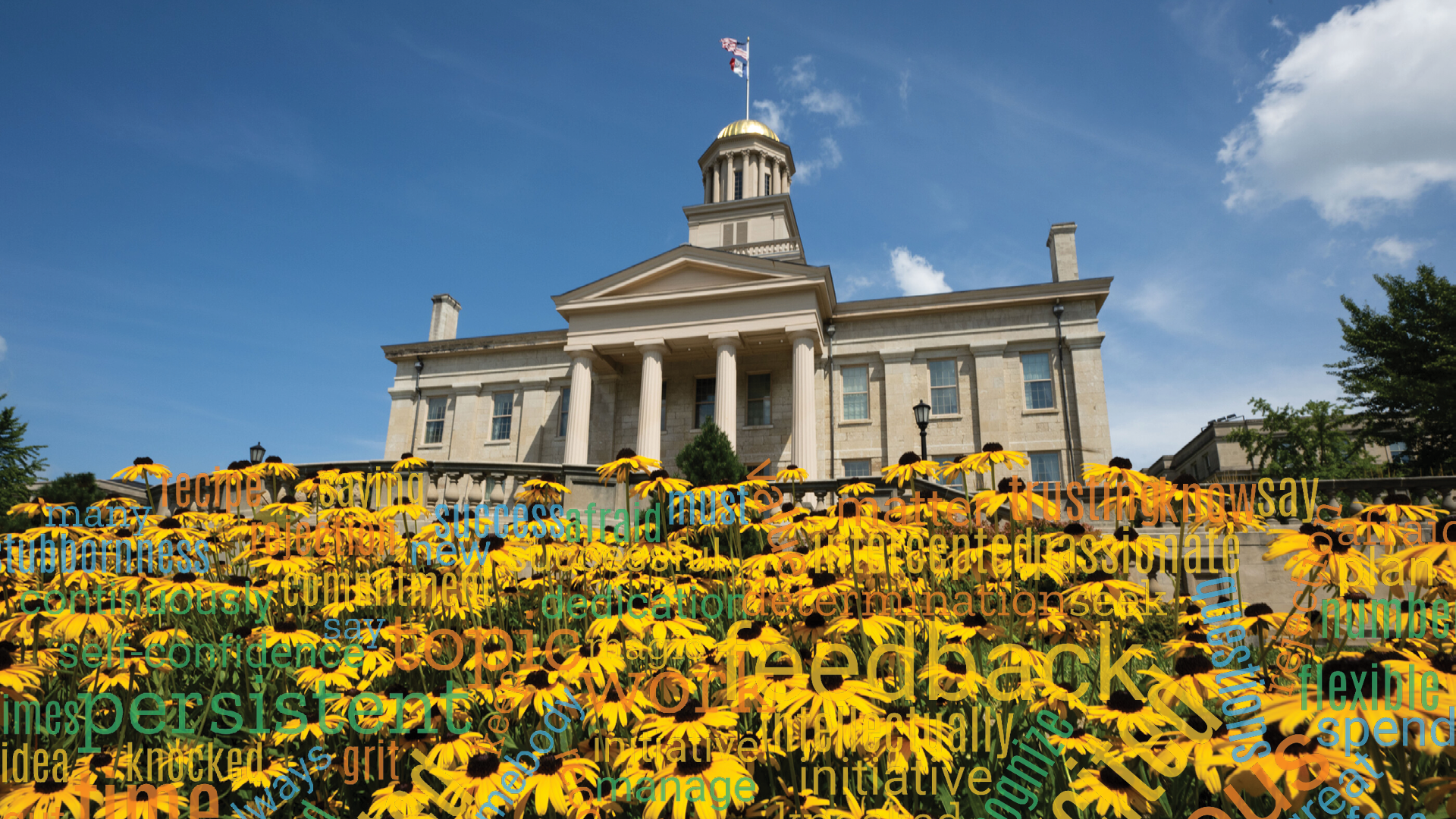 Flowers blooming on the pentacrest 
