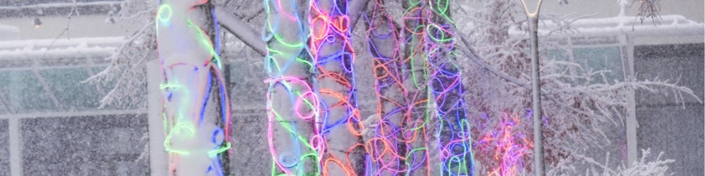 Electric Forest