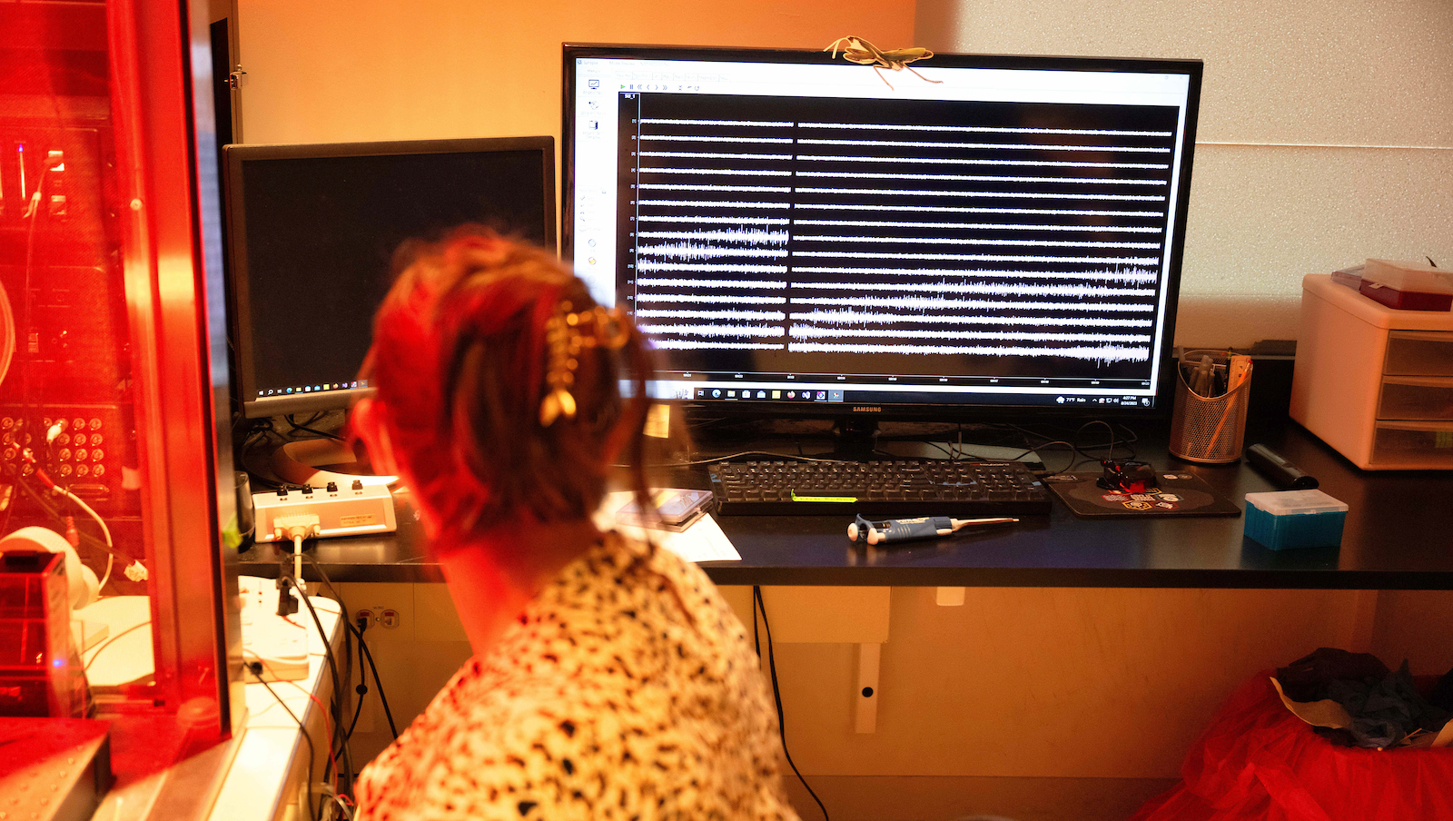 A researcher looking at data on a computer screen