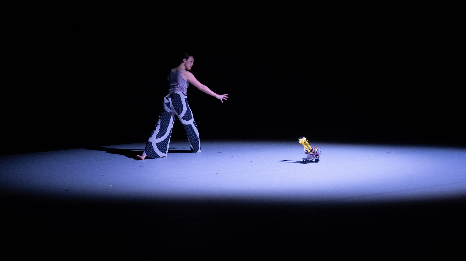 Dancer with a Robot