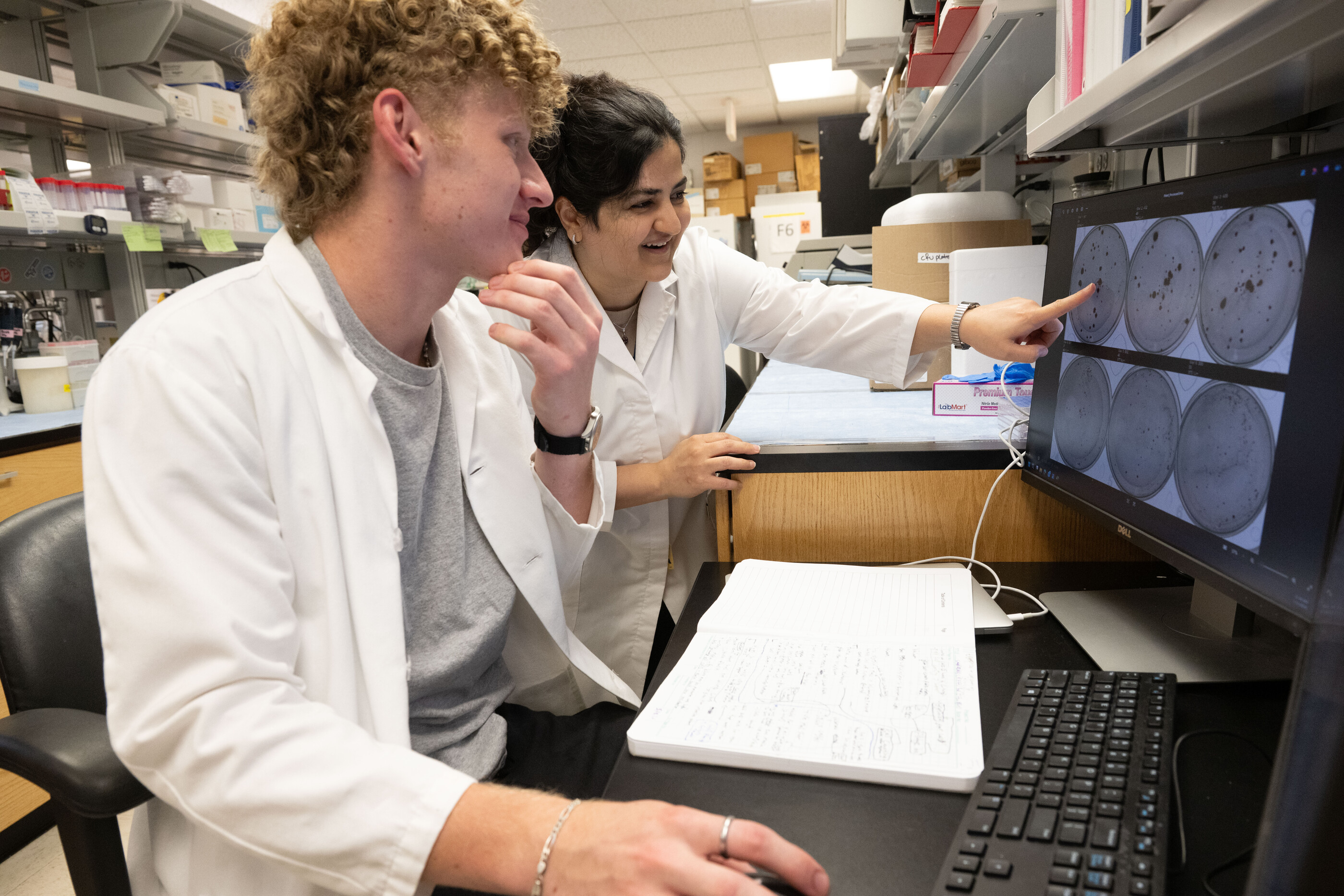 Nolan Messingham (undergraduate student) and Maliheh Moradzadeh (postdoctoral fellow) review cell cultures