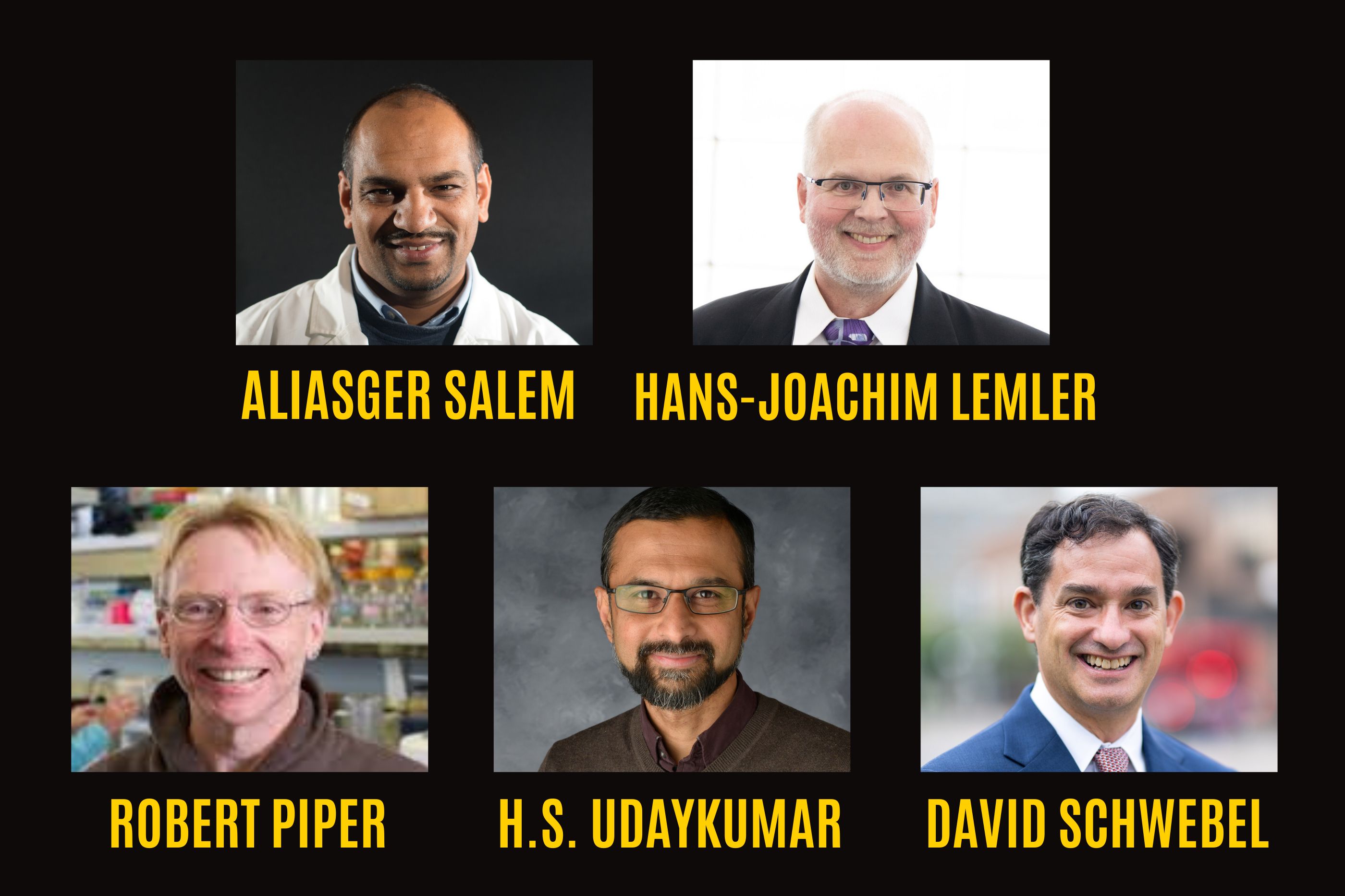 Aliasger Salem, Hans-Joachim Lehmler, Robert Piper,  H.S. Udaykumar, David Schwebel 