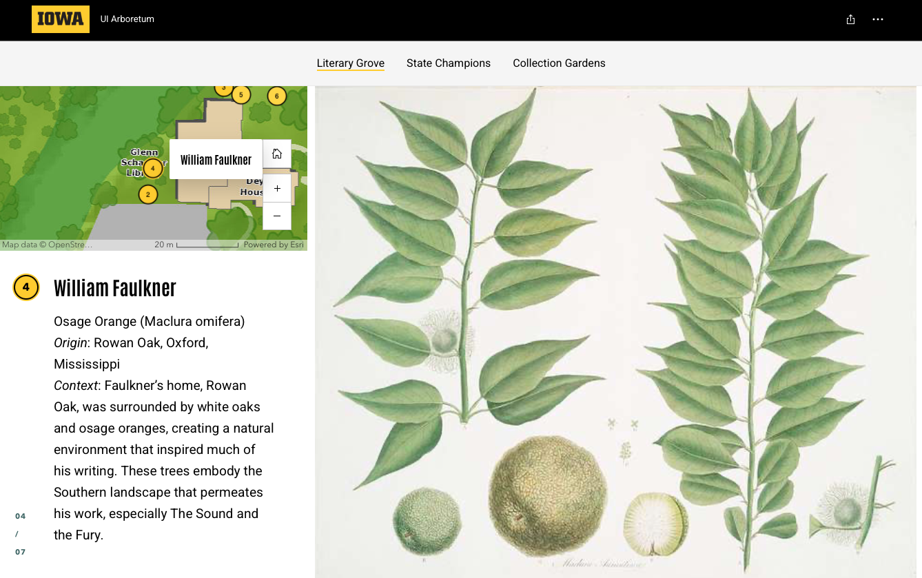 Search result example in UI tree story map