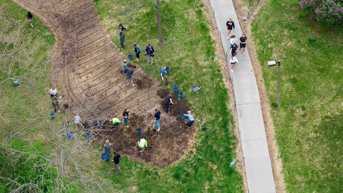 Drone photo of group planting Miyawaki forest