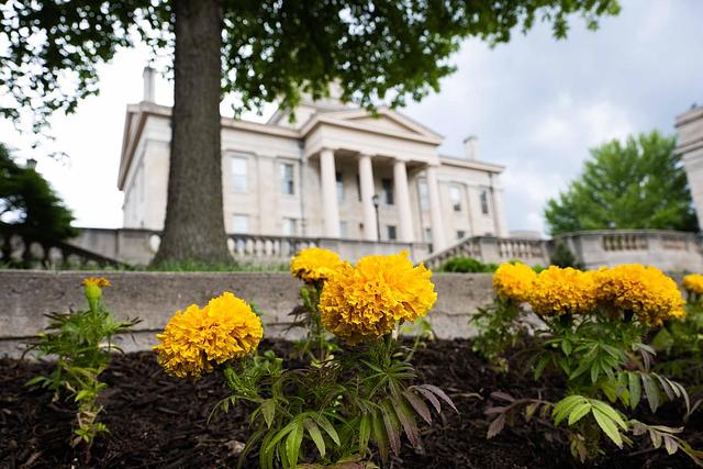 Flowers in front of Old Capitol building