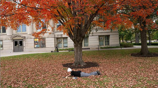 Student laying on leaves under a tree