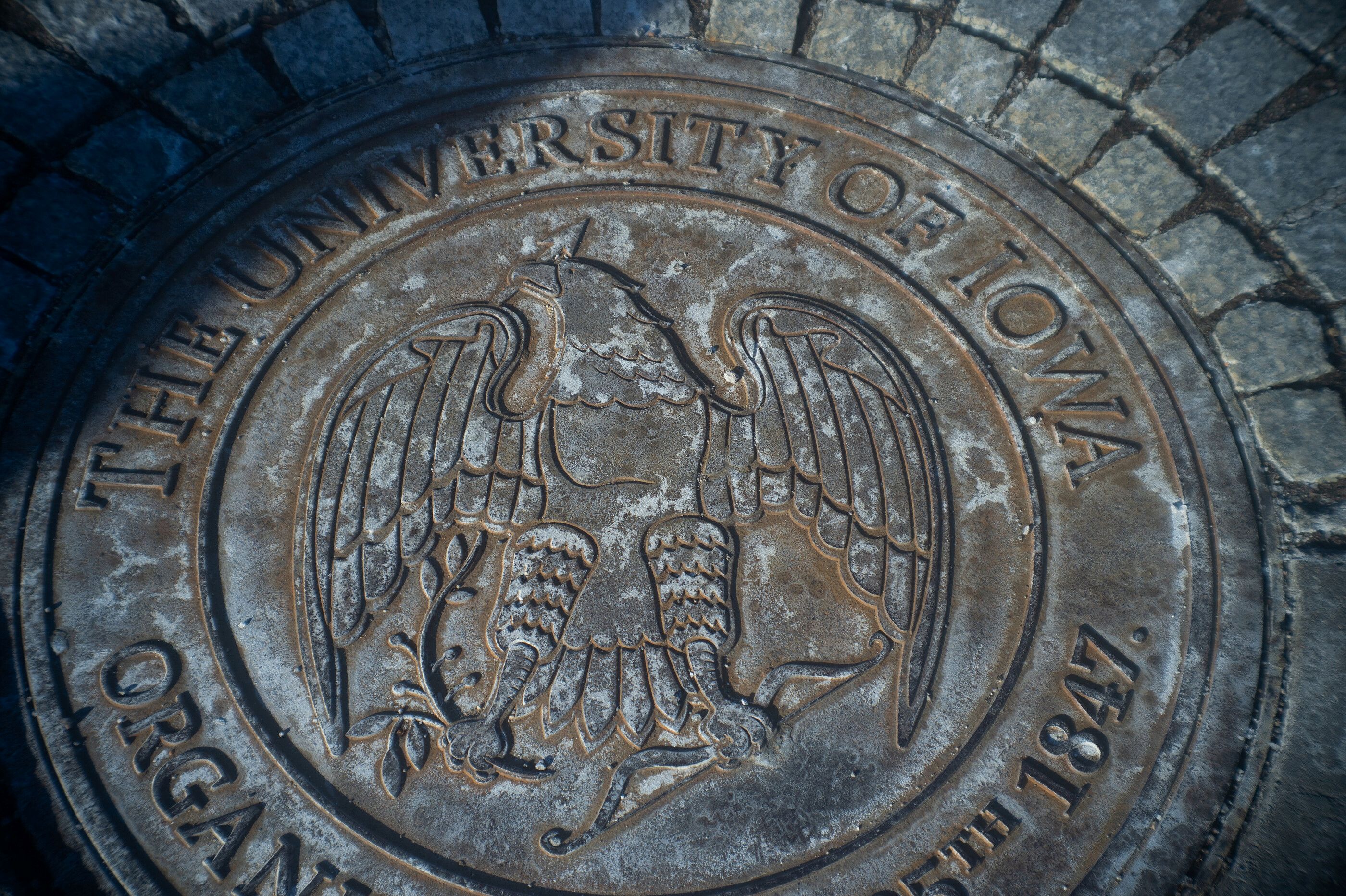 The University of Iowa seal, set in the sidewalk, framed by shadows in the upper left and lower right corners. 
