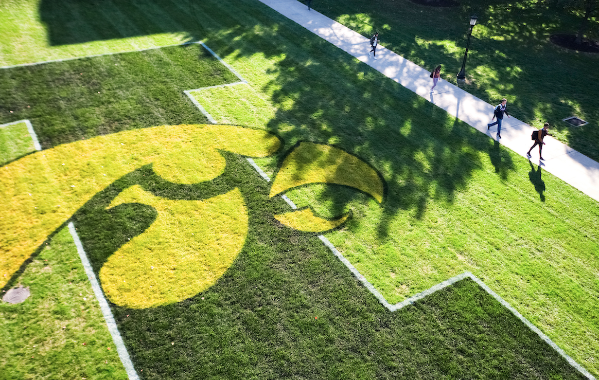 A block "I" and tiger hawk painted on grass