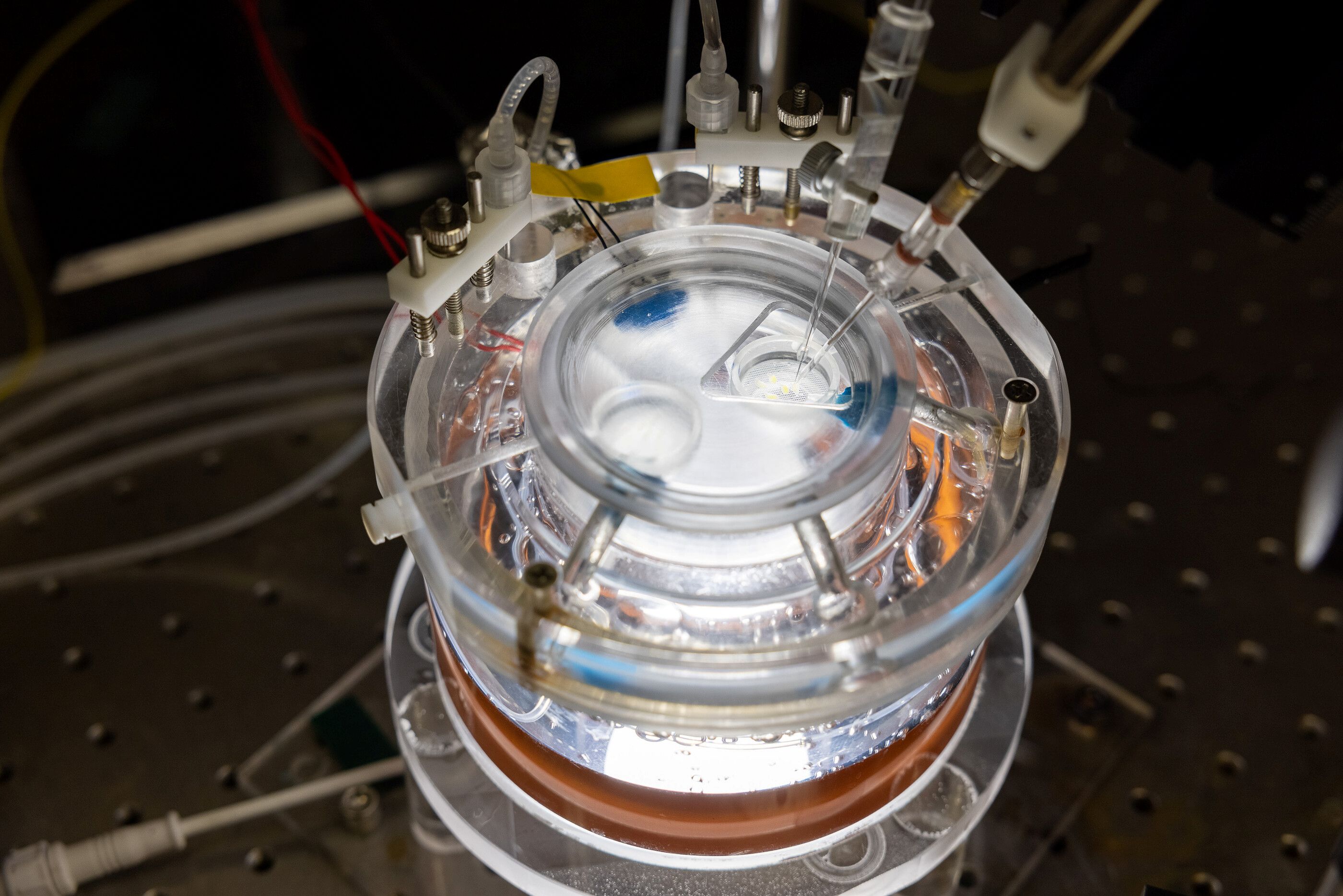 Close-up of a transparent device with electrodes used to create ultrasound stimulation of nerves.