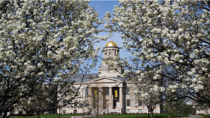 Old Capitol Building with white flowers in front of it