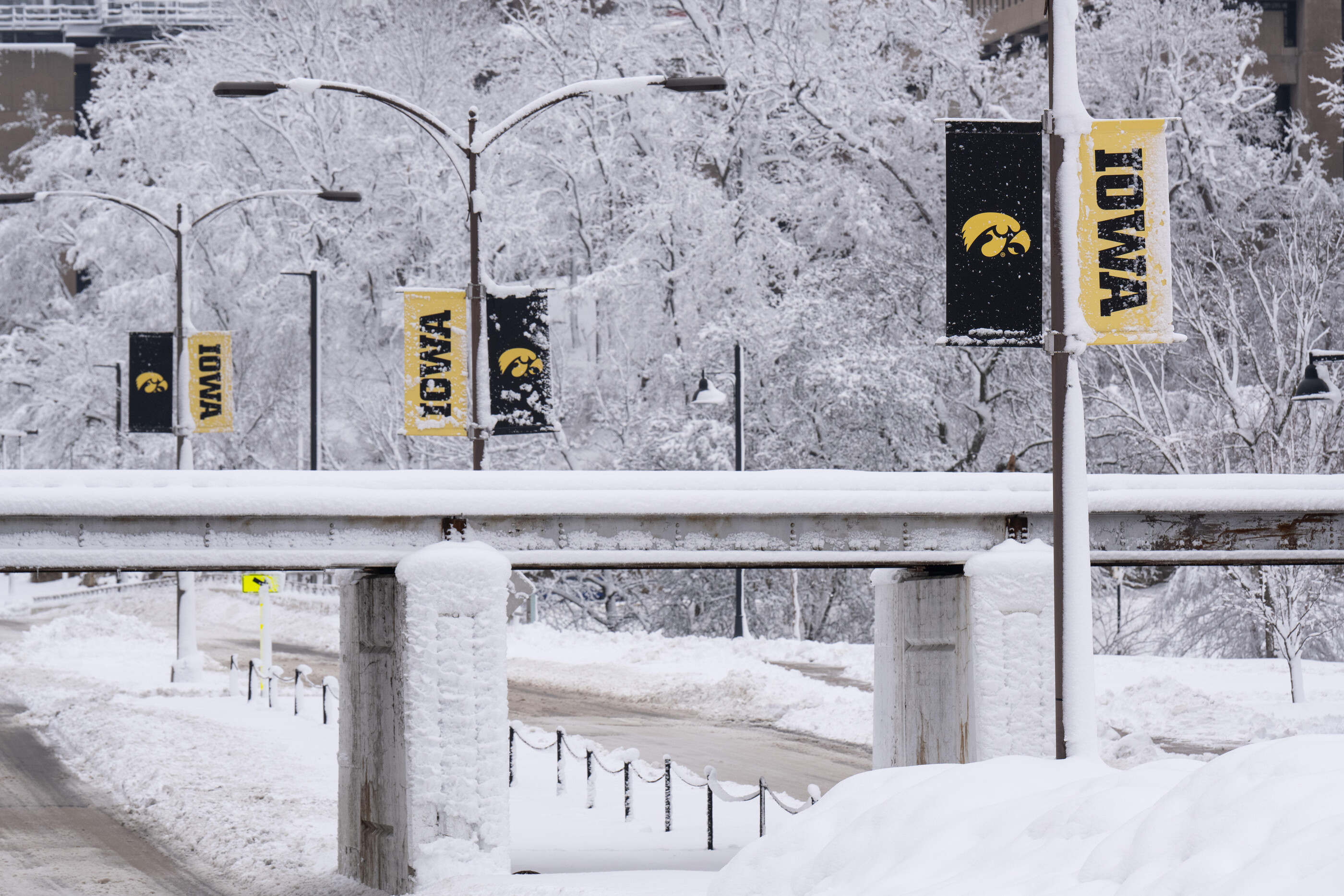Image of snowy road in Iowa City with UI banners on light poles