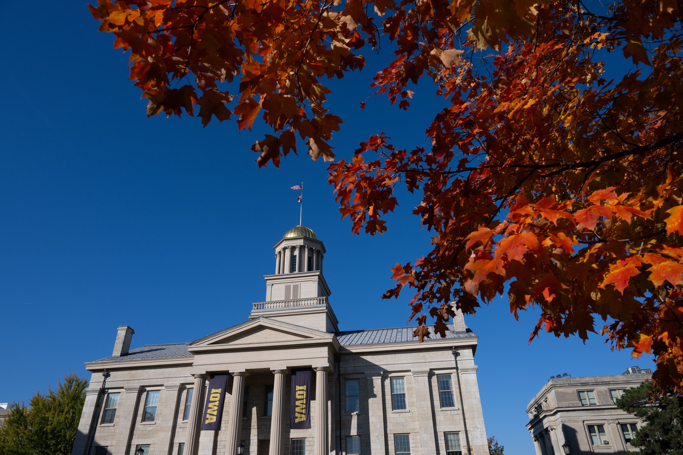 Image of the Old Capitol framed in fall leaves